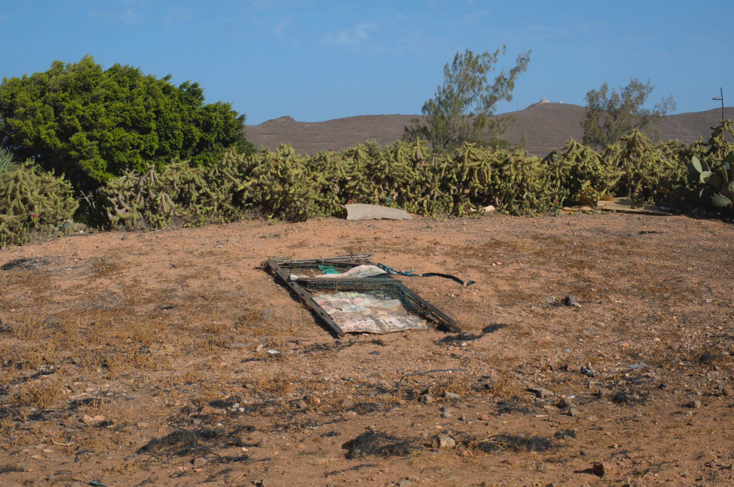 foundation-img